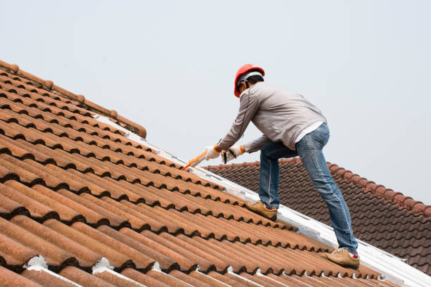 Best Roof Moss and Algae Removal  in Carlisle, OH